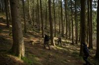 Bow Hike 2020 3